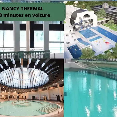 Le Cosy Du Grand Parc Avec Parking Prive Et Netflix, Proche Nancy Gentilly * Laxou