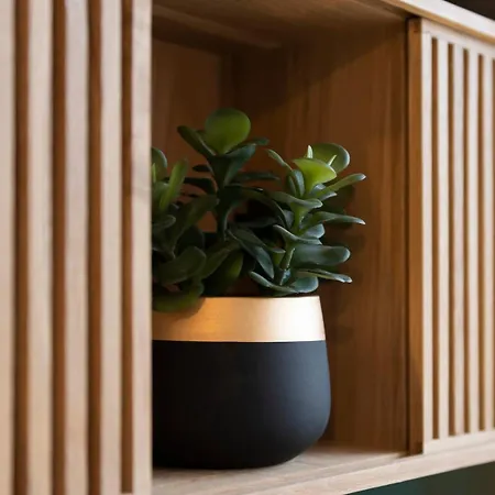 Le Zenity Avec Parking Prive, Netflix Et Plus, Proche Nancy Gentilly Laxou