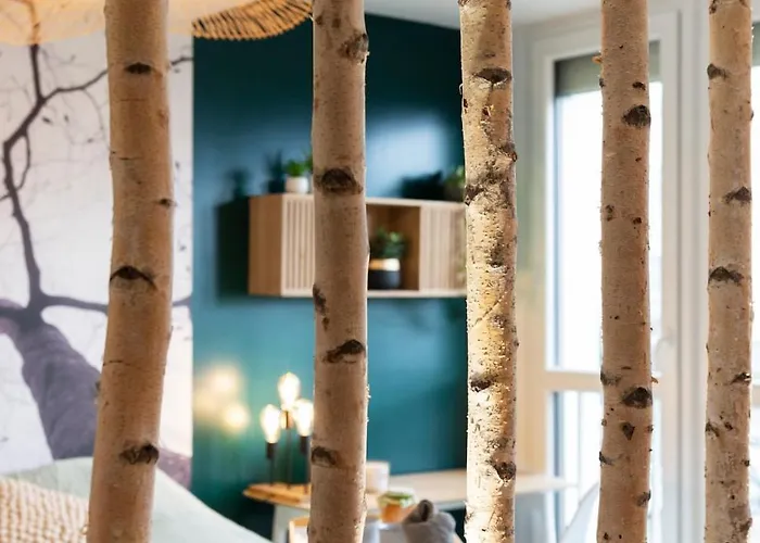 Le Cosy Du Grand Parc Avec Parking Prive Et Netflix, Proche Nancy Gentilly