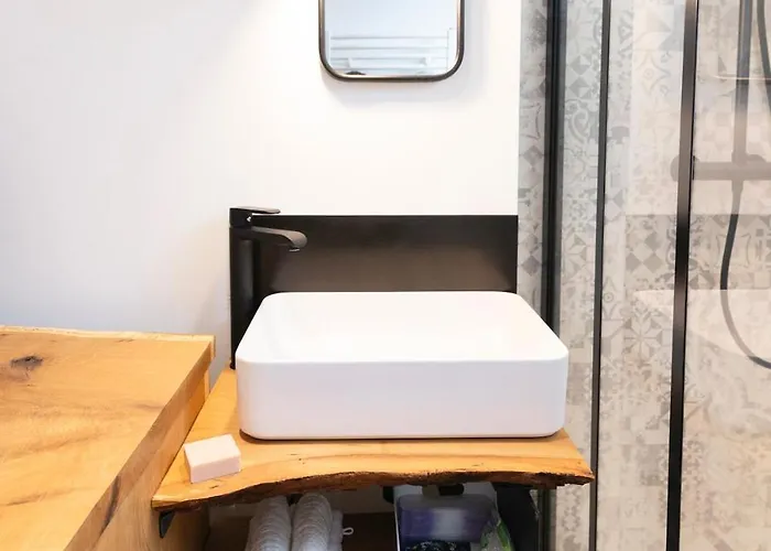 Le Cosy Du Grand Parc Avec Parking Prive Et Netflix, Proche Nancy Gentilly * Laxou