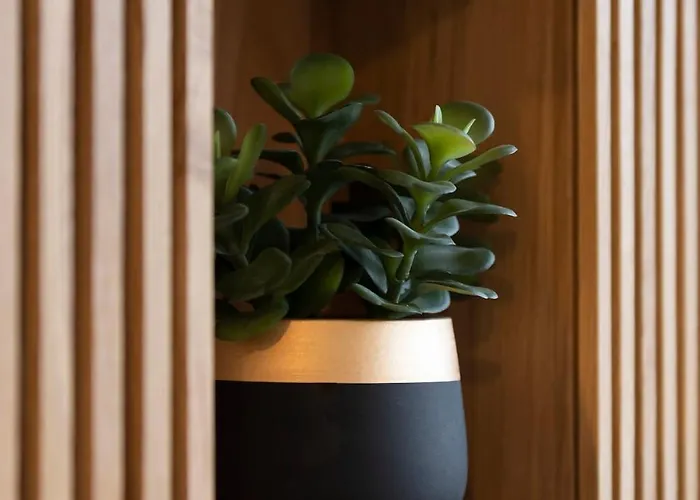 Le Cosy Du Grand Parc Avec Parking Prive Et Netflix, Proche Nancy Gentilly Laxou