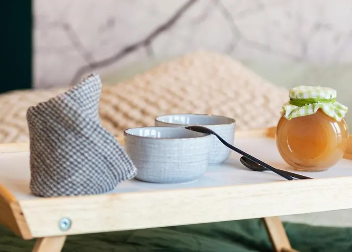 Apartment Le Cosy Du Grand Parc Avec Parking Prive Et Netflix, Proche Nancy Gentilly